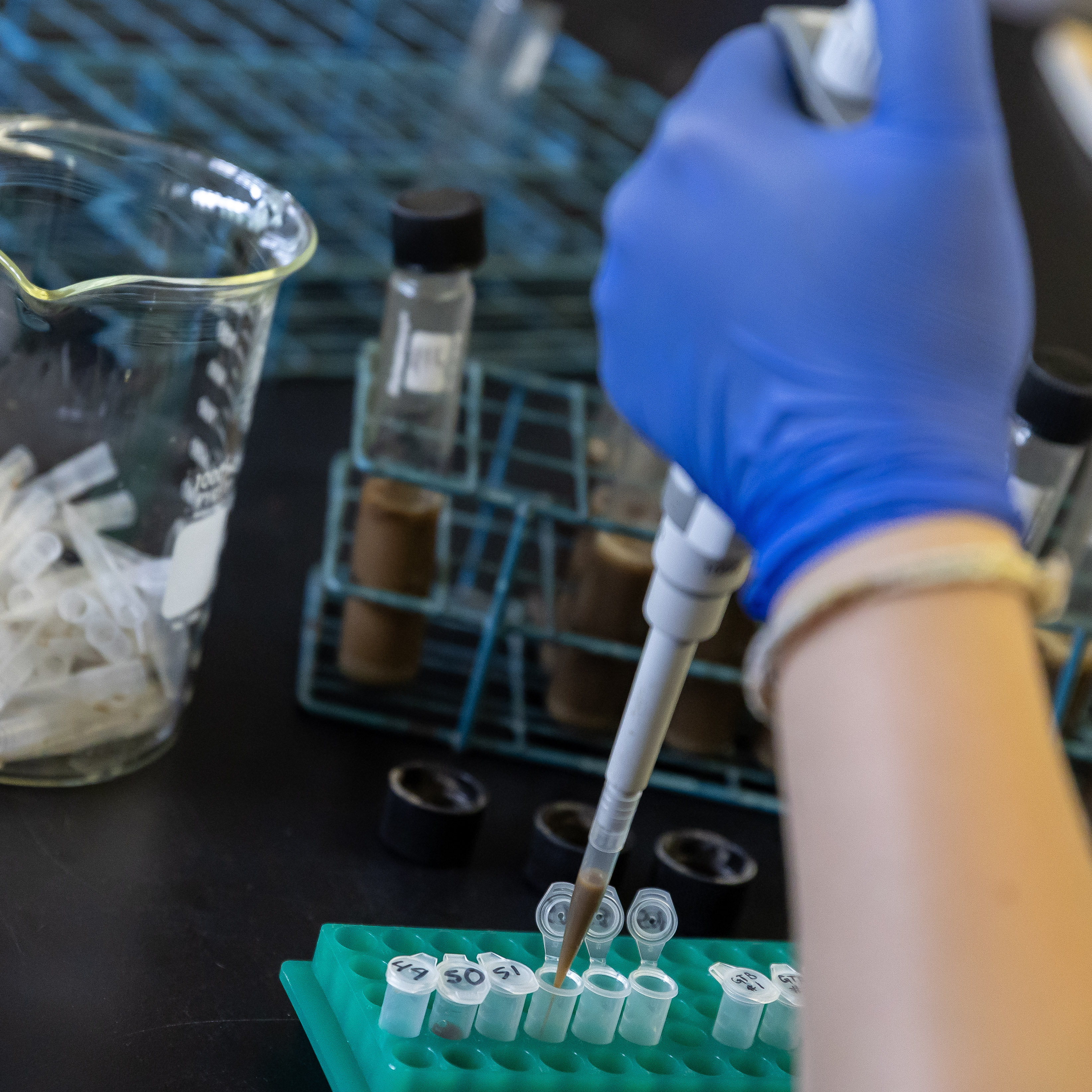 Lab soil samples.png